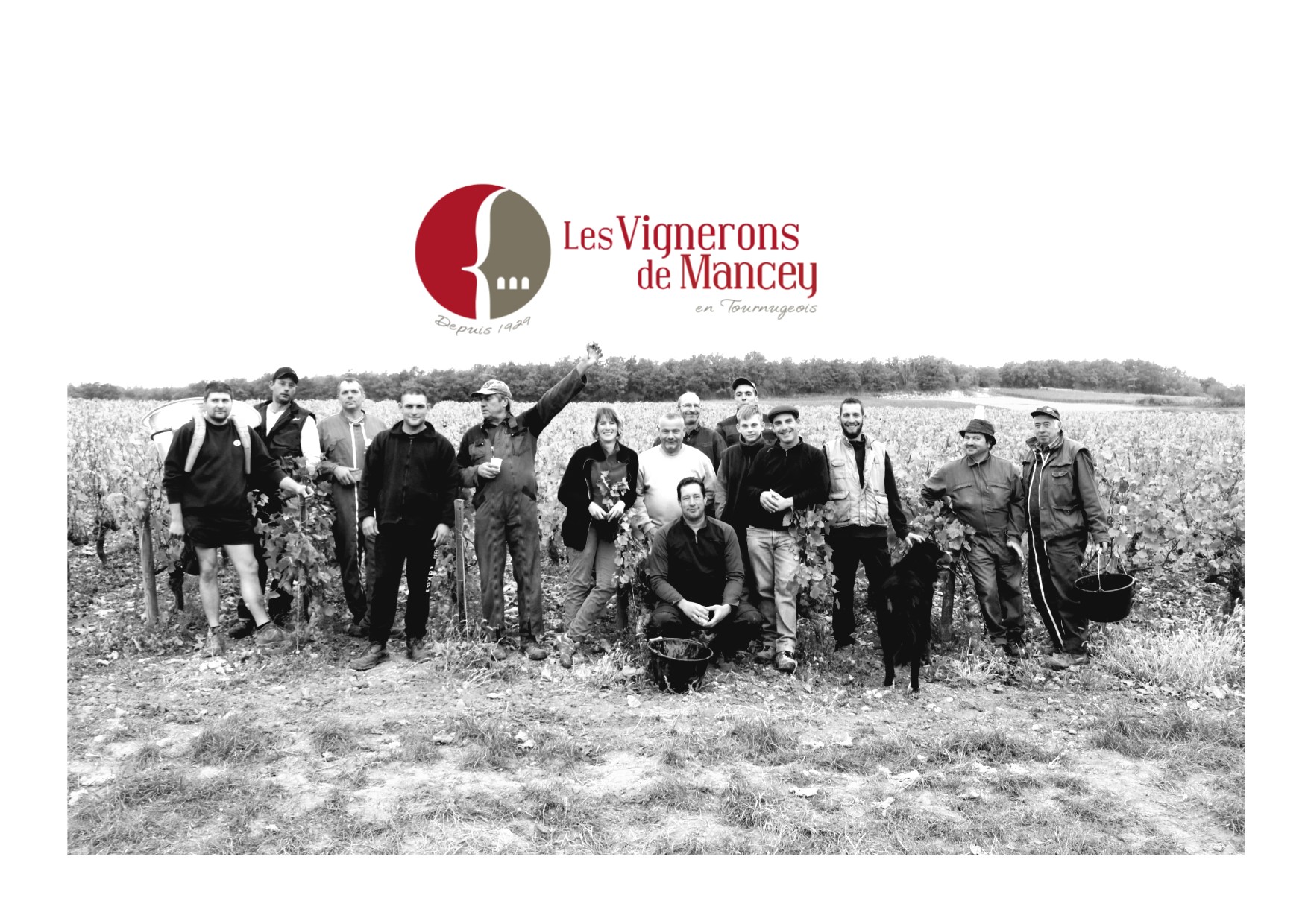 Les Vignerons de Mancey