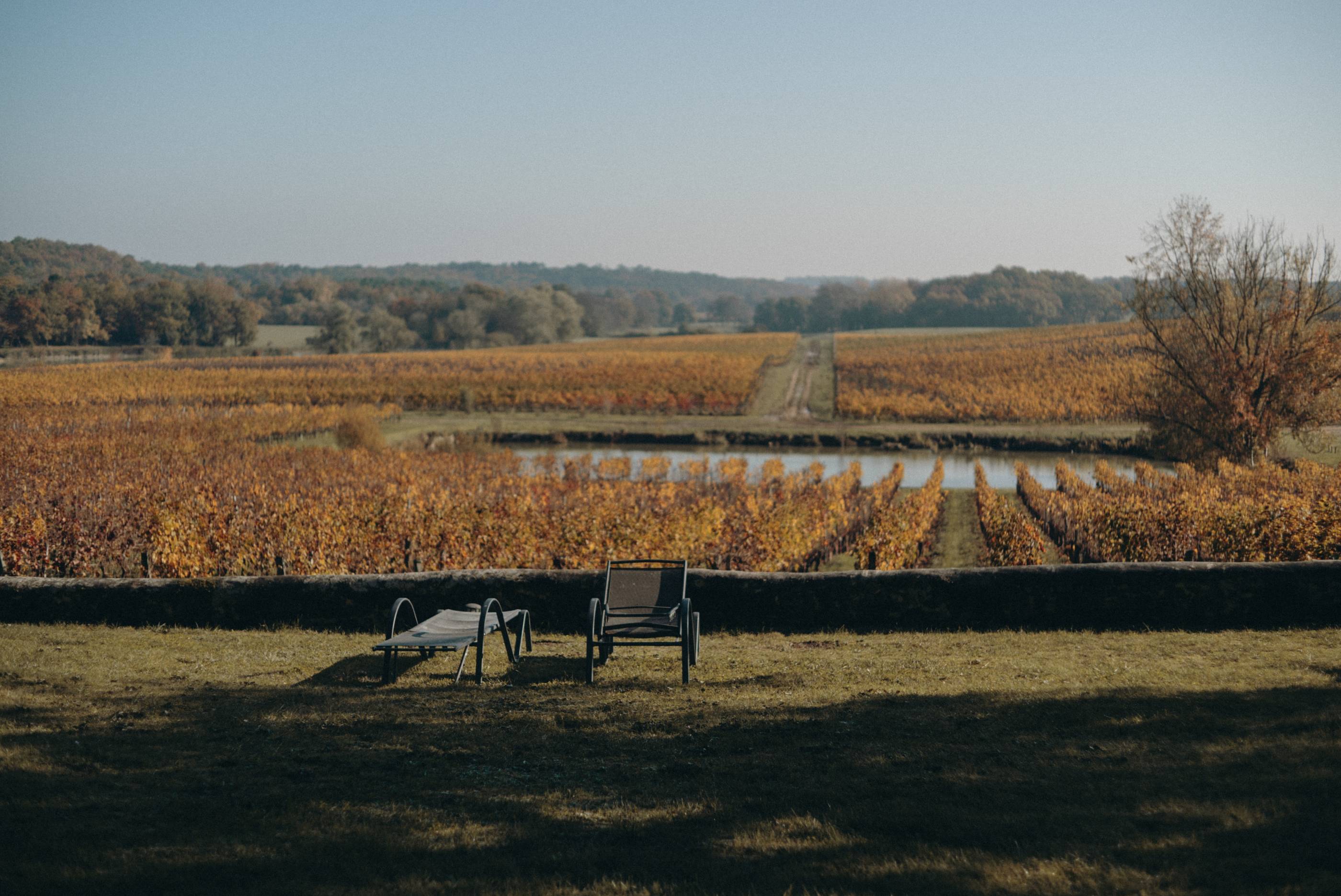Litoměřická vinařská podoblast