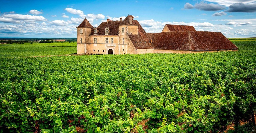 Domaine Michel Briday