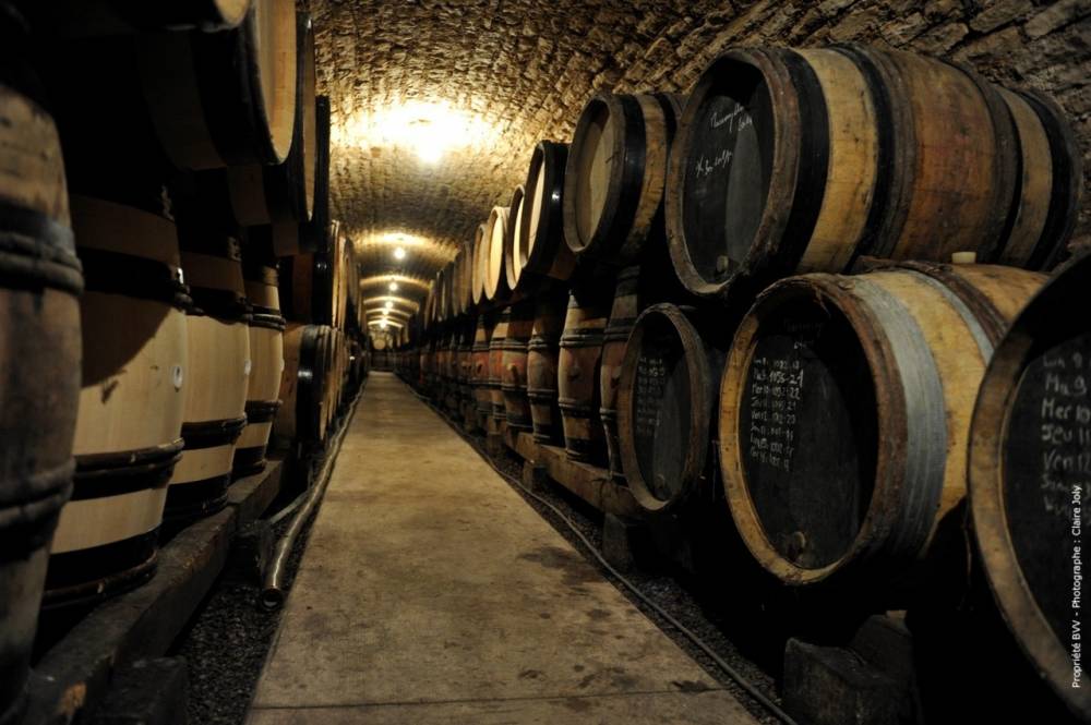 Domaine G. Lignier et Fils