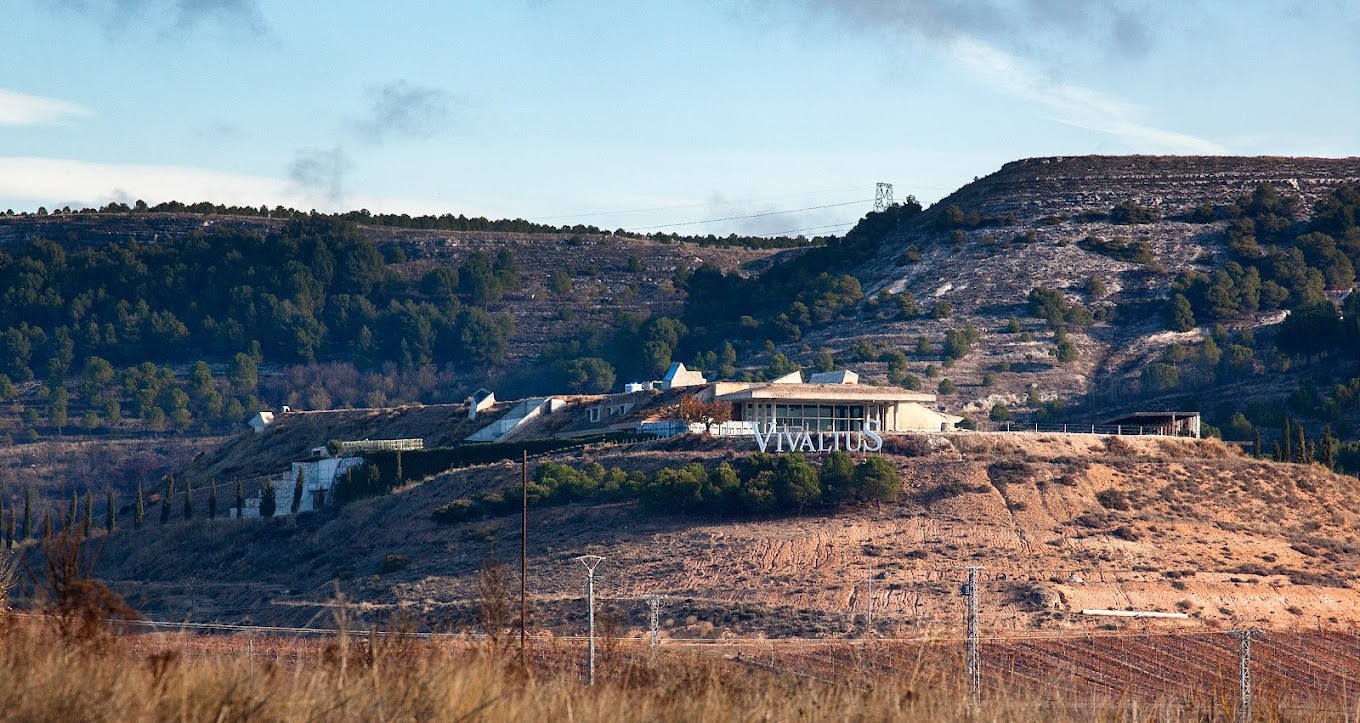 Bodega VivaltuS