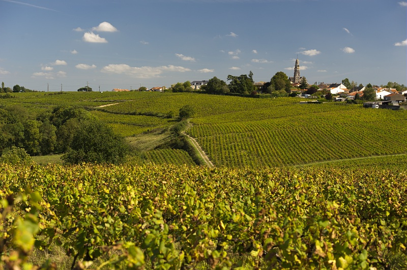 Domaine du Moulin Camus