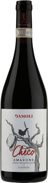 Amarone della Valpolicella classico \