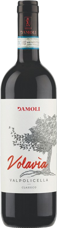 Valpolicella classico \